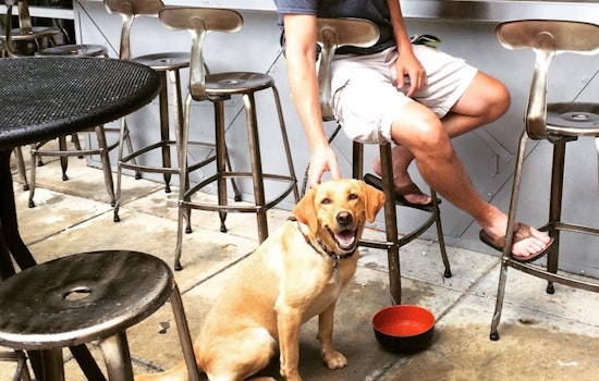 Woof: 9 Dog-Friendly Restaurants And Bars In Atlanta