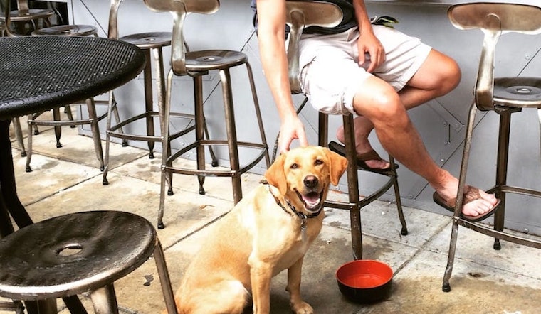 Woof: 9 Dog-Friendly Restaurants And Bars In Atlanta