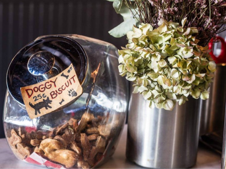 Woof: 7 Dog-Friendly Restaurants And Bars In Washington D.C.