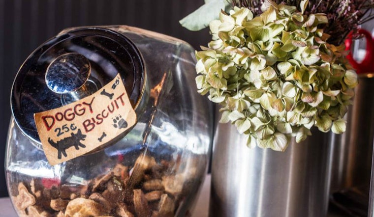 Woof: 7 Dog-Friendly Restaurants And Bars In Washington D.C.