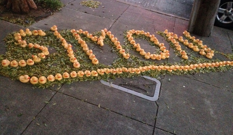 Rubber Ducks Flock Overnight To Corner Of Castro & 21st