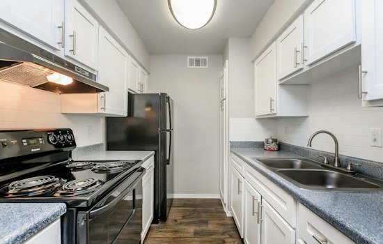 The most inexpensive apartment rentals for rent in South Lamar, Austin