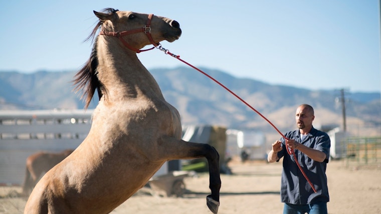 The 4 best movies screening around Sacramento this week