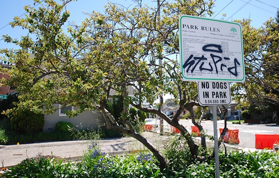 Tiny North Oakland Park To Get A Little Bigger