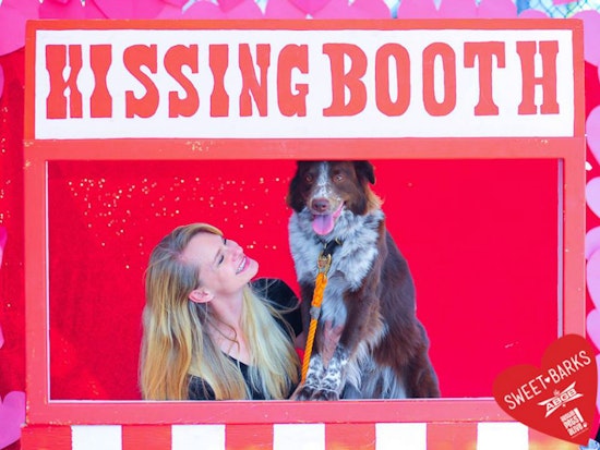 Woof: 7 Dog-Friendly Restaurants And Bars In Austin