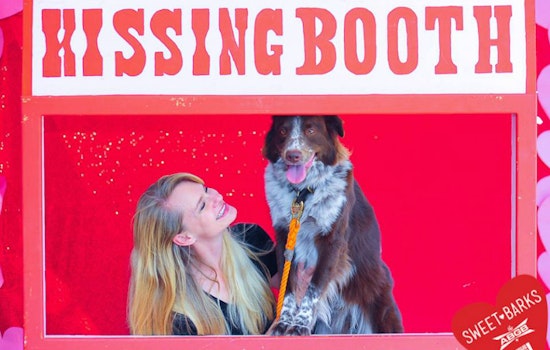 Woof: 7 Dog-Friendly Restaurants And Bars In Austin