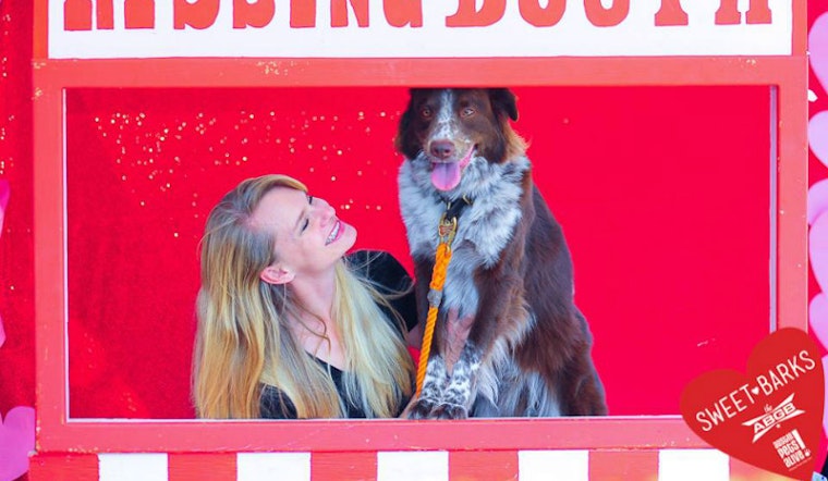 Woof: 7 Dog-Friendly Restaurants And Bars In Austin