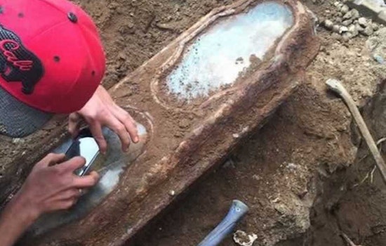 Girl Found In 140-Year-Old Casket In Lone Mountain Backyard Identified