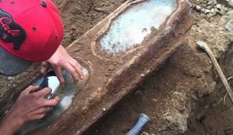 Girl Found In 140-Year-Old Casket In Lone Mountain Backyard Identified