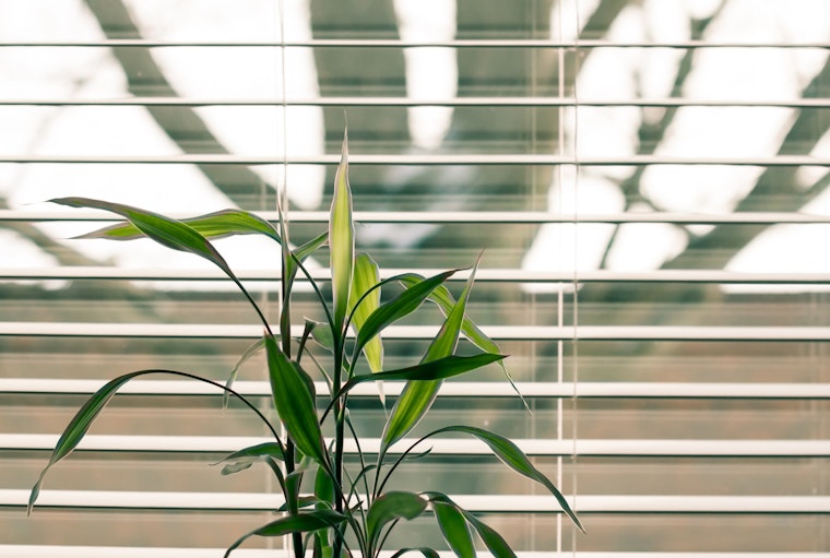 Highs in the 80s expected to stick around in Miami
