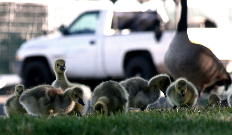 22 Ways To Leave Your Mother (Happy & Appreciative)