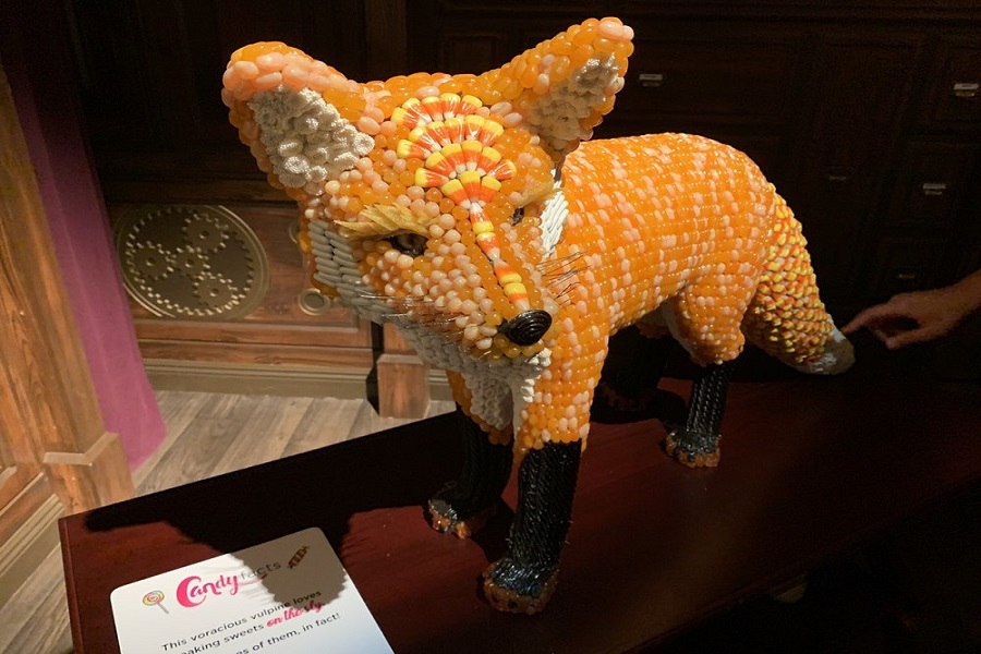 New candy store Candytopia now open in Lake Highlands