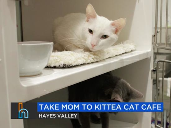 This Weekend: On The Road To The Summer Of Love, Live Mario Kart & Mother's Day At KitTea  [Video]