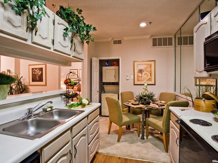 What will $1,000 rent you in Far North, today?