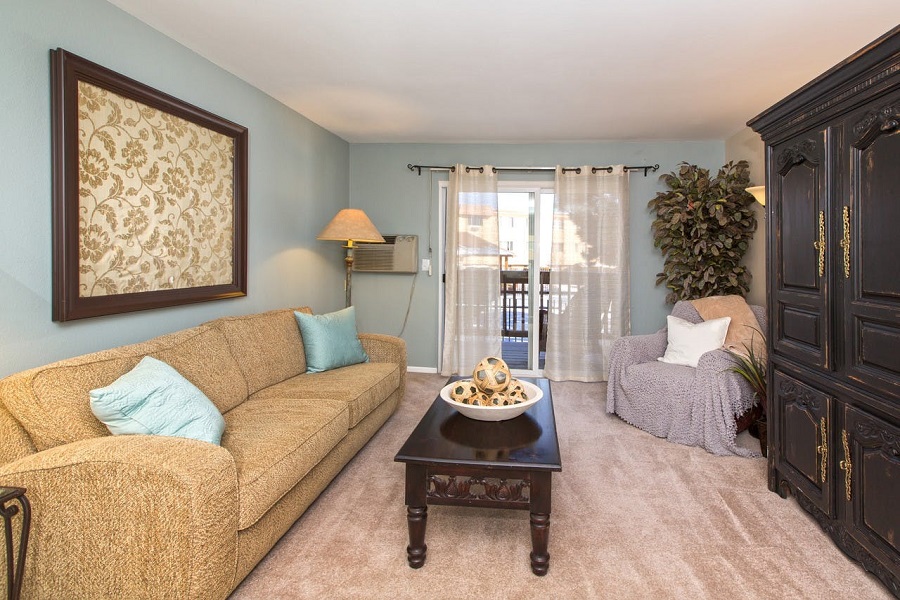 What will 1,000 rent you in Northeast Colorado Springs, this month?