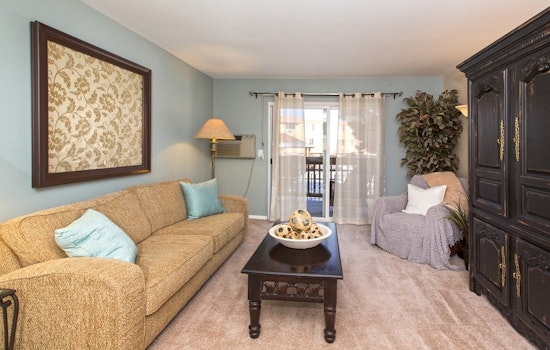 What will $1,000 rent you in Northeast Colorado Springs, this month?