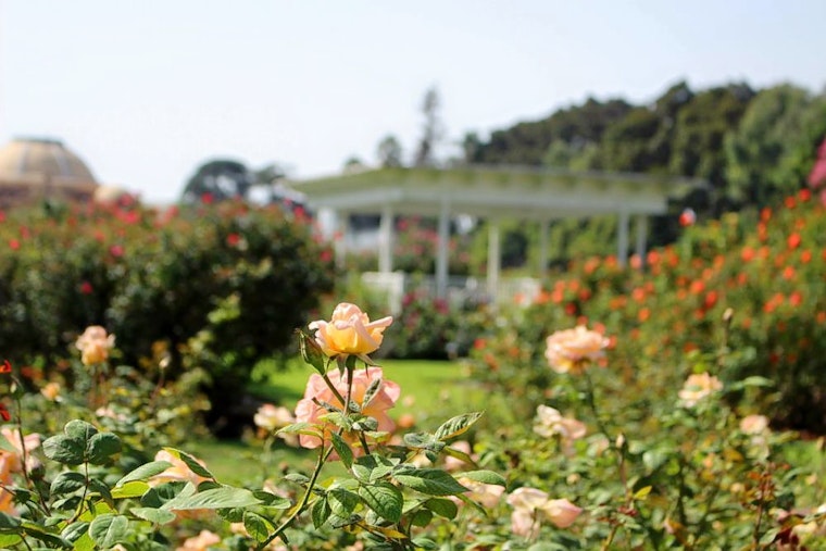 How to enjoy Earth Day in Los Angeles
