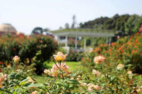 How to enjoy Earth Day in Los Angeles