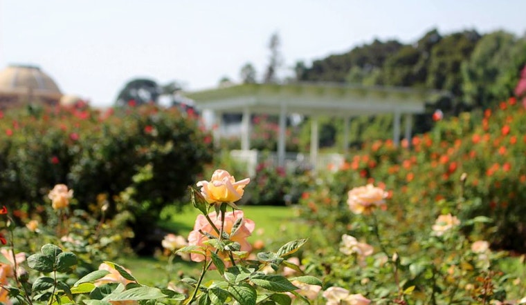 How to enjoy Earth Day in Los Angeles