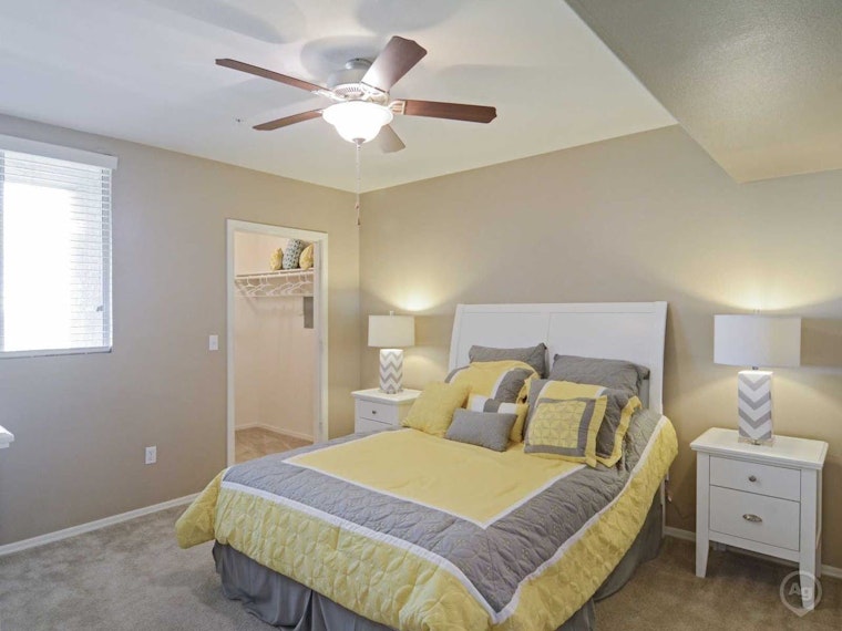 What will $1,000 rent you in Albuquerque, today?
