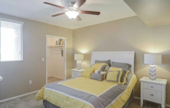 What will $1,000 rent you in Albuquerque, today?