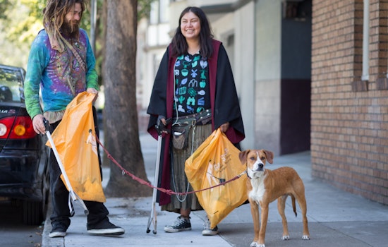 Scoop: City Looks To Replace Dog Waste Stations Destroyed By Haight Vandals