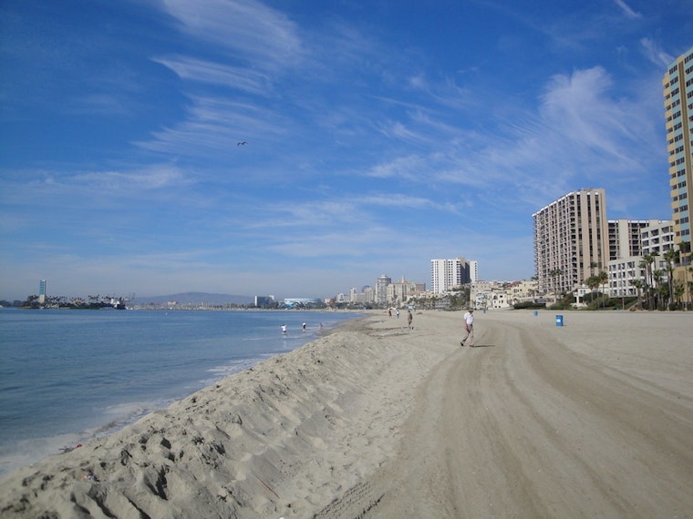 Top Long Beach news: Police find man’s body floating in bay; LBSU to pick new sports team name