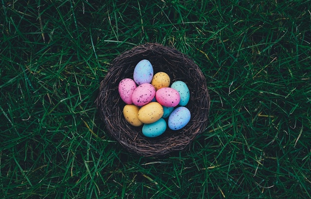 5 ways to make the most of your week in San Jose