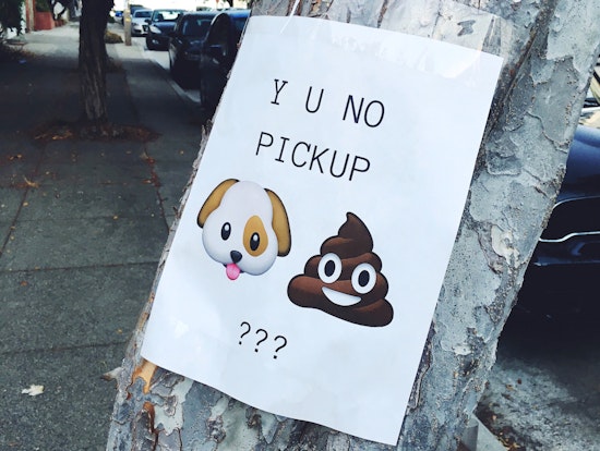'Poopetrator' Outreach Encourages Dog Adopters To Pick Up...Good Habits