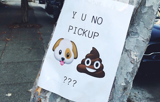 'Poopetrator' Outreach Encourages Dog Adopters To Pick Up...Good Habits