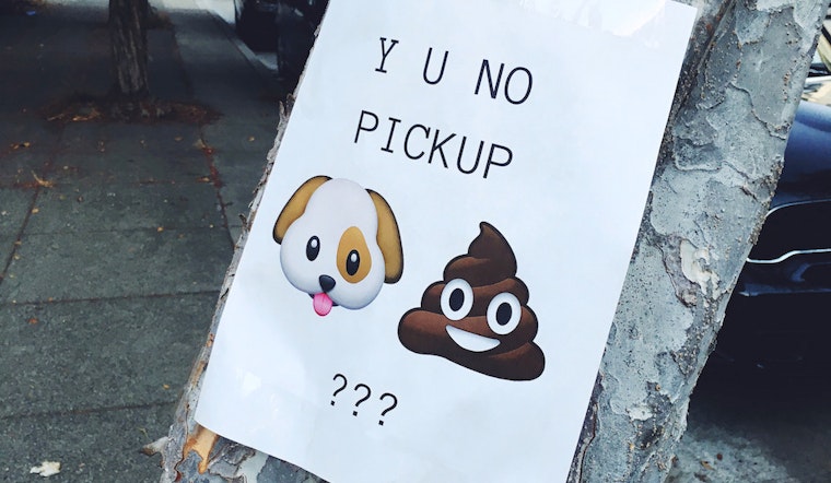 'Poopetrator' Outreach Encourages Dog Adopters To Pick Up...Good Habits
