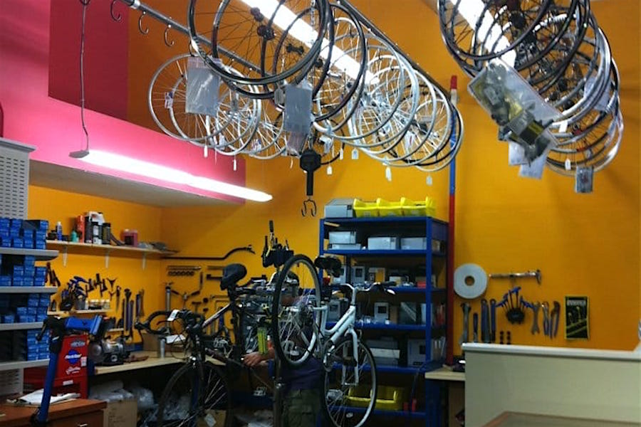 urban shark bike shop