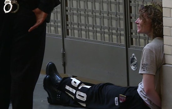 Bystanders Foil Attempted Kidnapping Of 2-Year-Old At Ferry Building