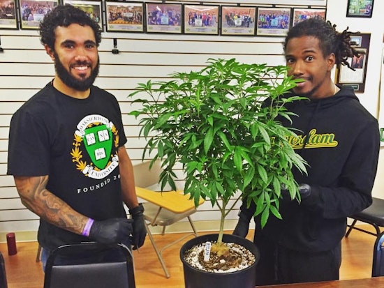 To Promote Equity, Oakland Launches New Cannabis Permits
