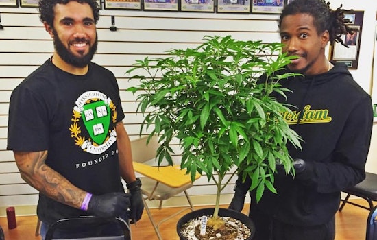 To Promote Equity, Oakland Launches New Cannabis Permits