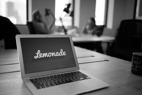 Lemonade tops New York's recent software industry investments