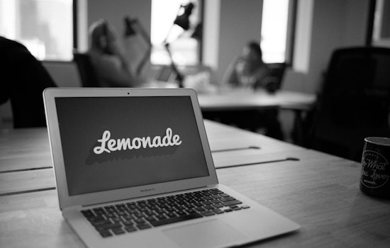 Lemonade tops New York's recent software industry investments