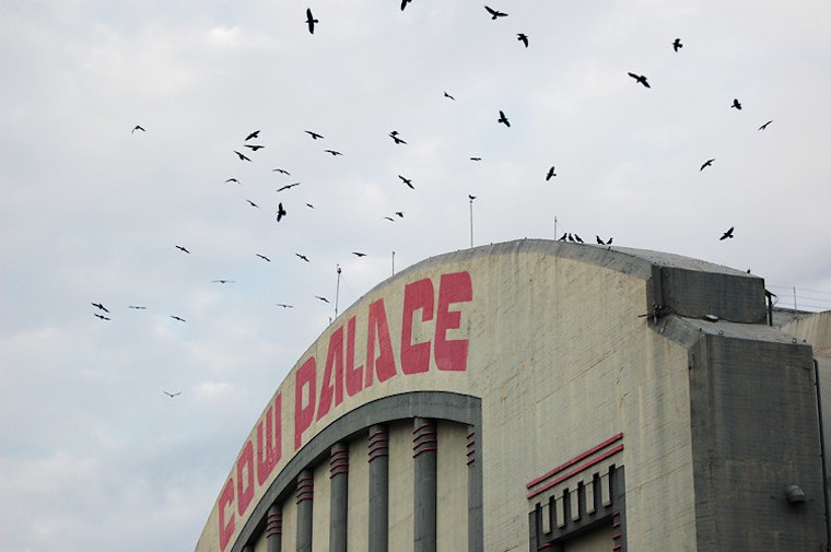 Top SF news: Cow Palace to cease gun shows; homeless sheltering at SFO