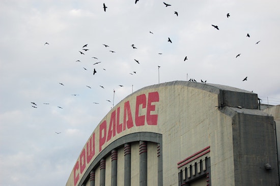 Top SF news: Cow Palace to cease gun shows; homeless sheltering at SFO