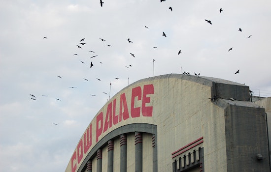 Top SF news: Cow Palace to cease gun shows; homeless sheltering at SFO