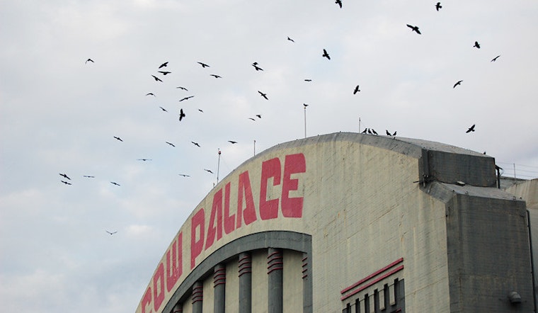 Top SF news: Cow Palace to cease gun shows; homeless sheltering at SFO
