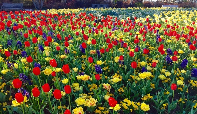 How to enjoy Earth Day in Dallas
