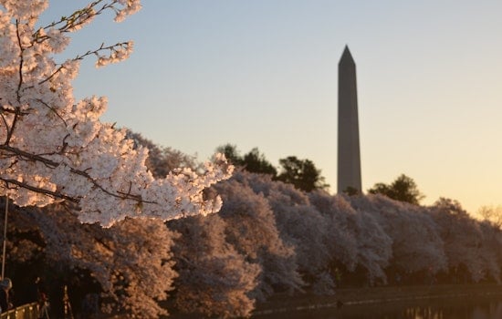 Top D.C. news: 2 men charged for allegedly attacking man wearing 'MAGA' hat; Sesame Street to visit