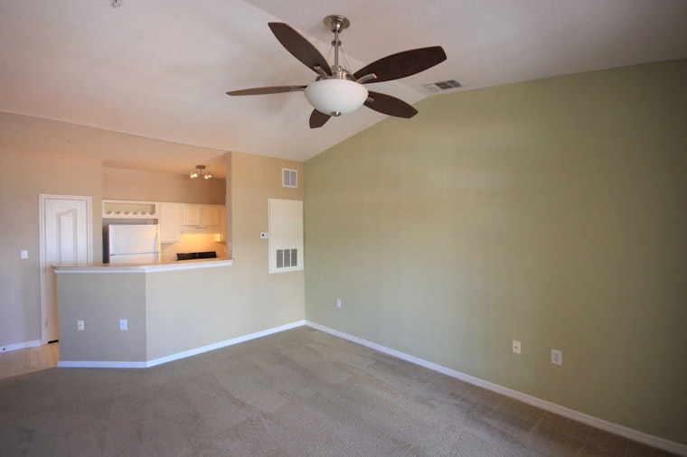 What will $1,200 rent you in Tampa, this month?