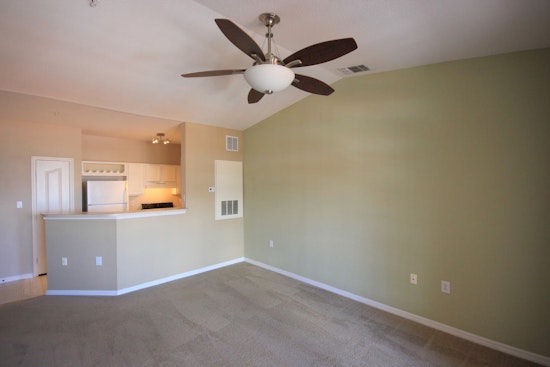What will $1,200 rent you in Tampa, this month?