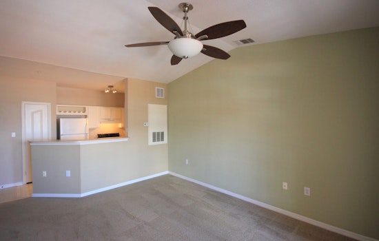 What will $1,200 rent you in Tampa, this month?