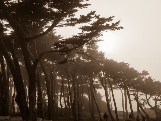 Spotted: Children's Book Illustrations Pop Up In Lands End