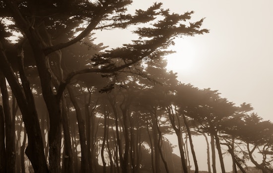 Spotted: Children's Book Illustrations Pop Up In Lands End