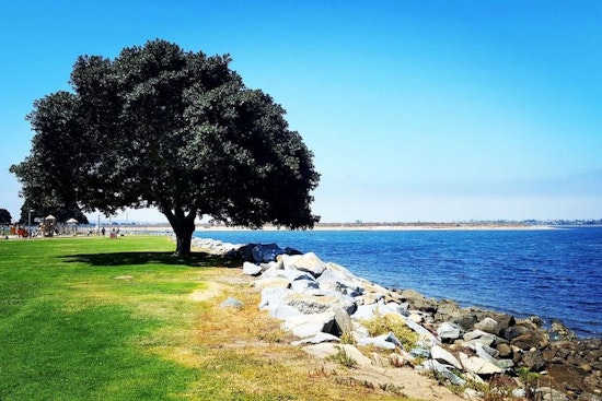 3 great community and culture events in San Diego this weekend
