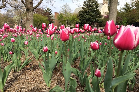 How to enjoy Earth Day in Baltimore